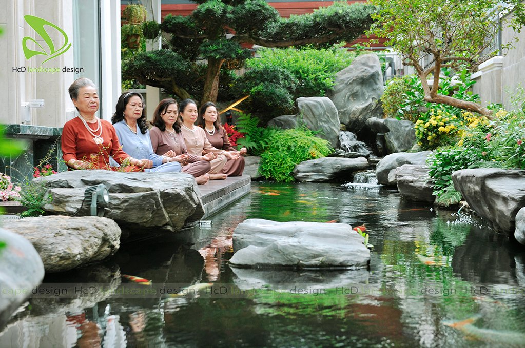 thiết kế và thi công dự án hồ cá koi sân vườn tại villa 49 ở bình thạnh