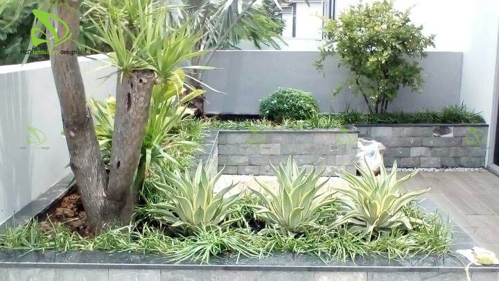 sân vườn trên sân thượng - hồ cá koi đẹp - hcd landscape design