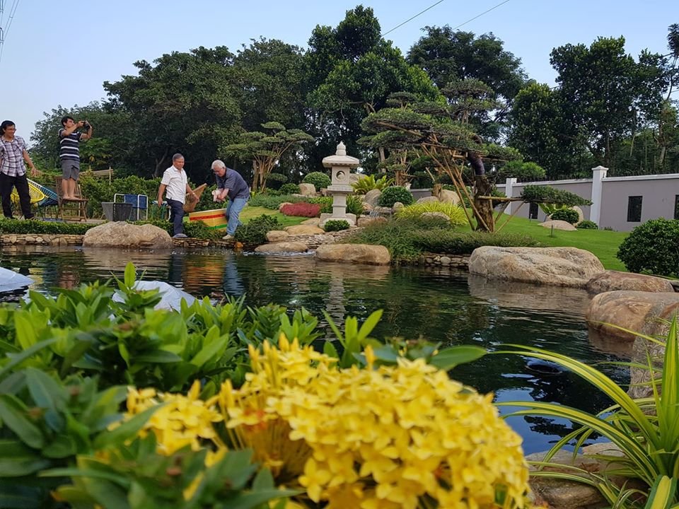 thả cá koi tại green field farm stay